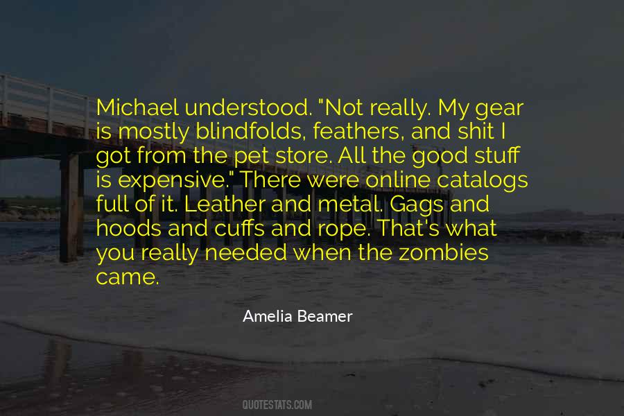 Amelia Beamer Quotes #367150