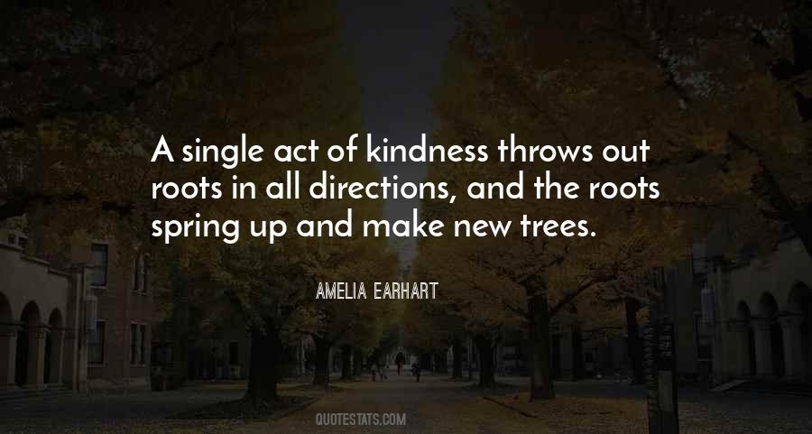 Amelia Earhart Quotes #569984
