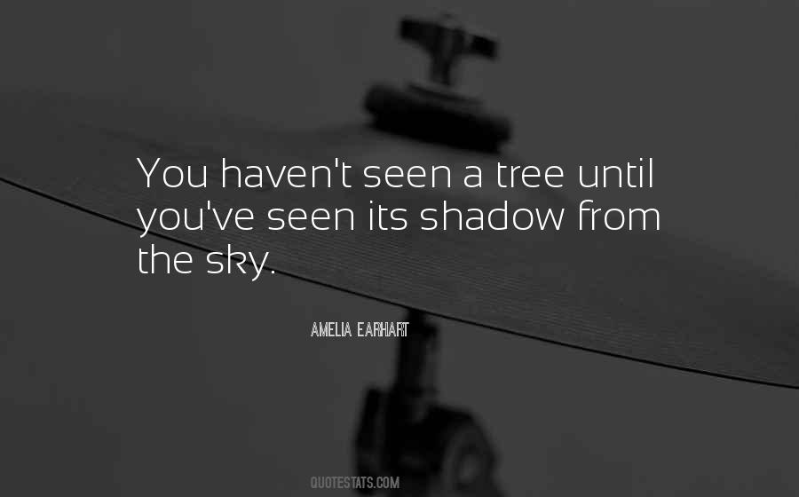 Amelia Earhart Quotes #794808