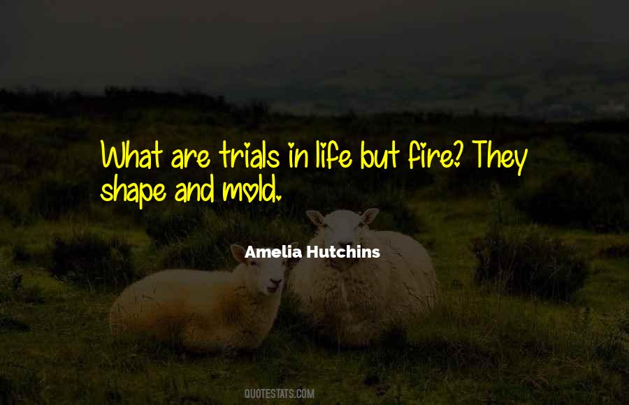 Amelia Hutchins Quotes #1215830