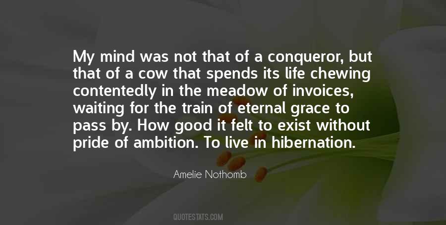 Amelie Nothomb Quotes #1681454