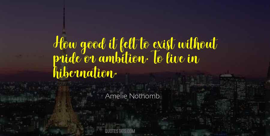 Amelie Nothomb Quotes #777605