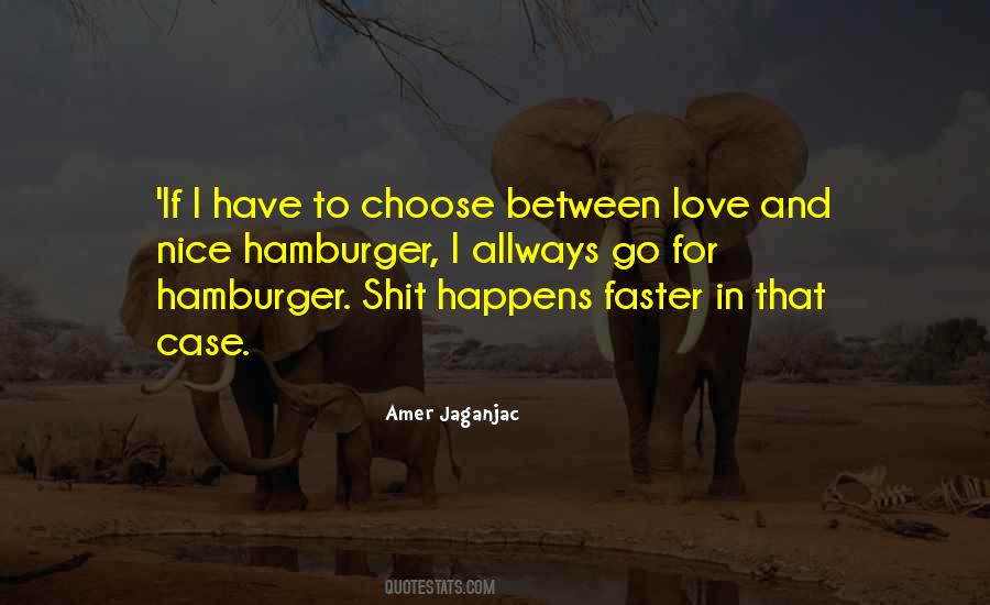 Amer Jaganjac Quotes #219835 Amer Jaganjac Quotes #219835