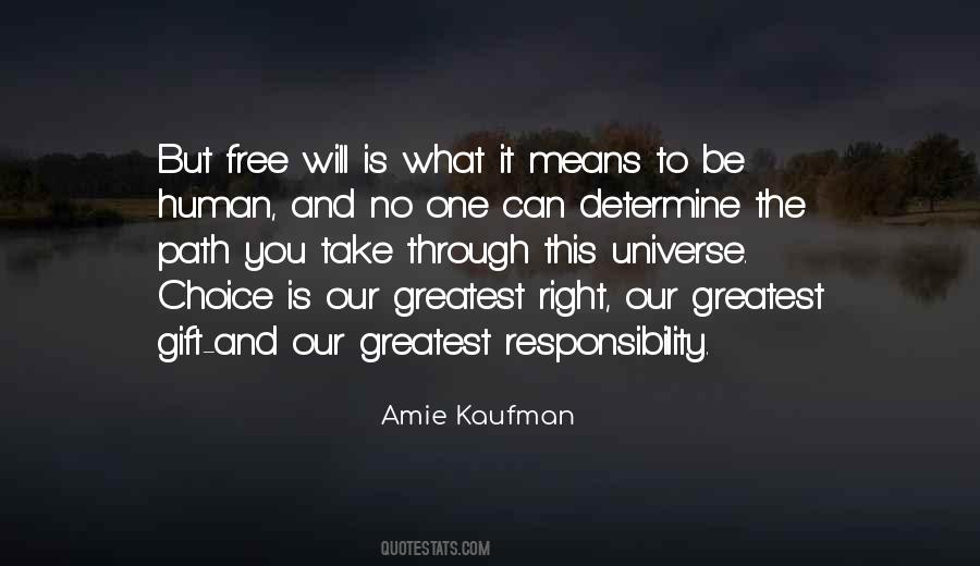 Amie Kaufman Quotes #1589382