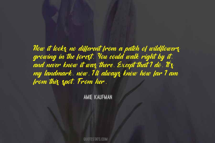 Amie Kaufman Quotes #337569