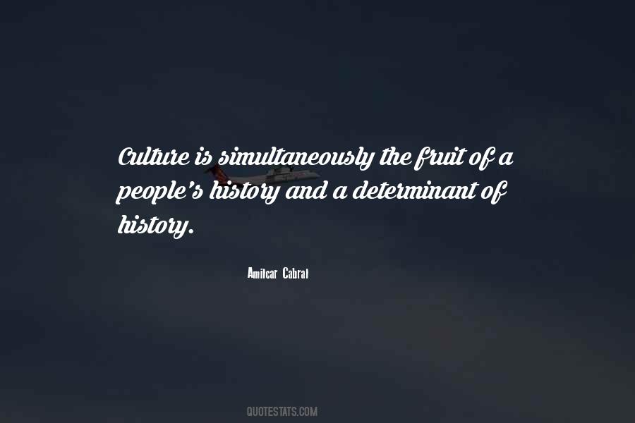 Amilcar Cabral Quotes #158024