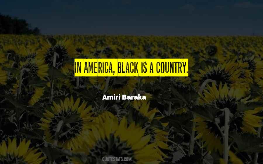 Amiri Baraka Quotes #751414