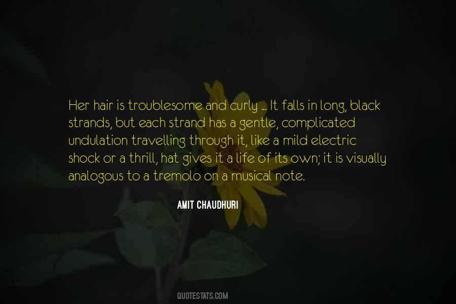 Amit Chaudhuri Quotes #919637