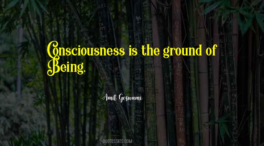 Amit Goswami Quotes #120987