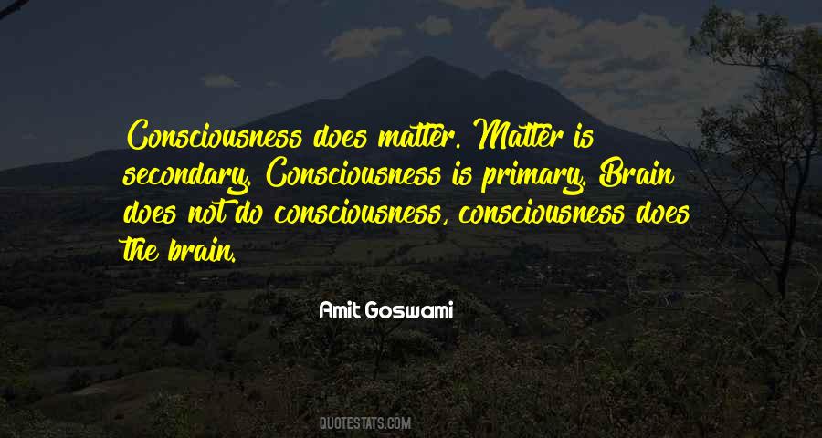 Amit Goswami Quotes #1854545