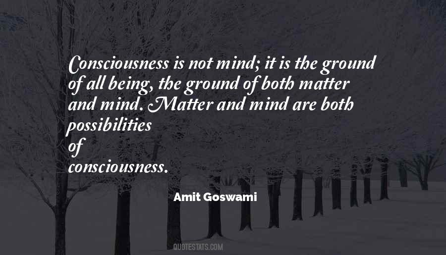 Amit Goswami Quotes #734312