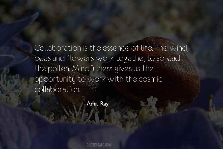Amit Ray Quotes #1808669