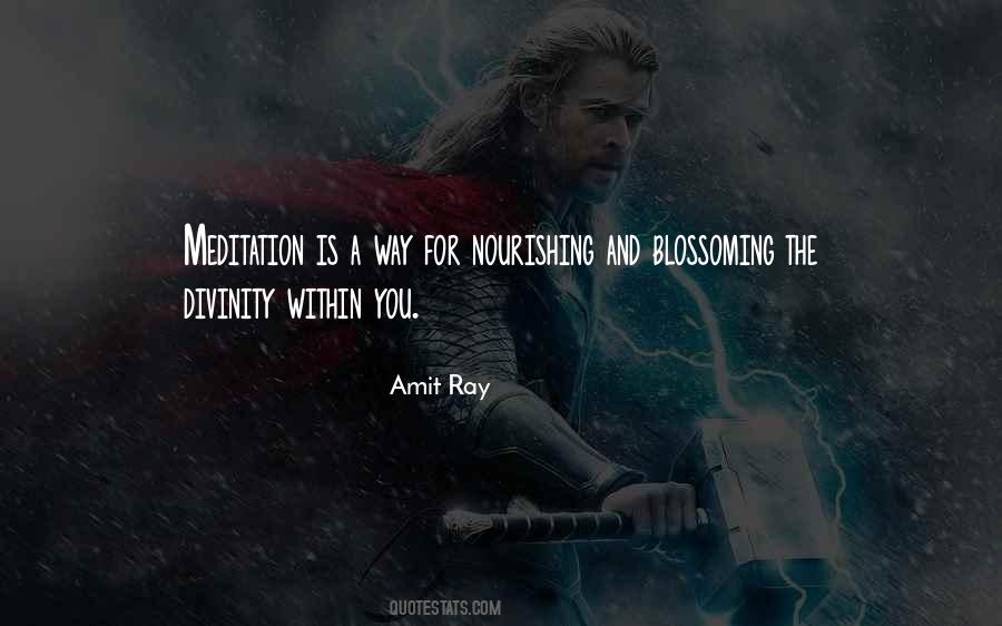 Amit Ray Quotes #359333