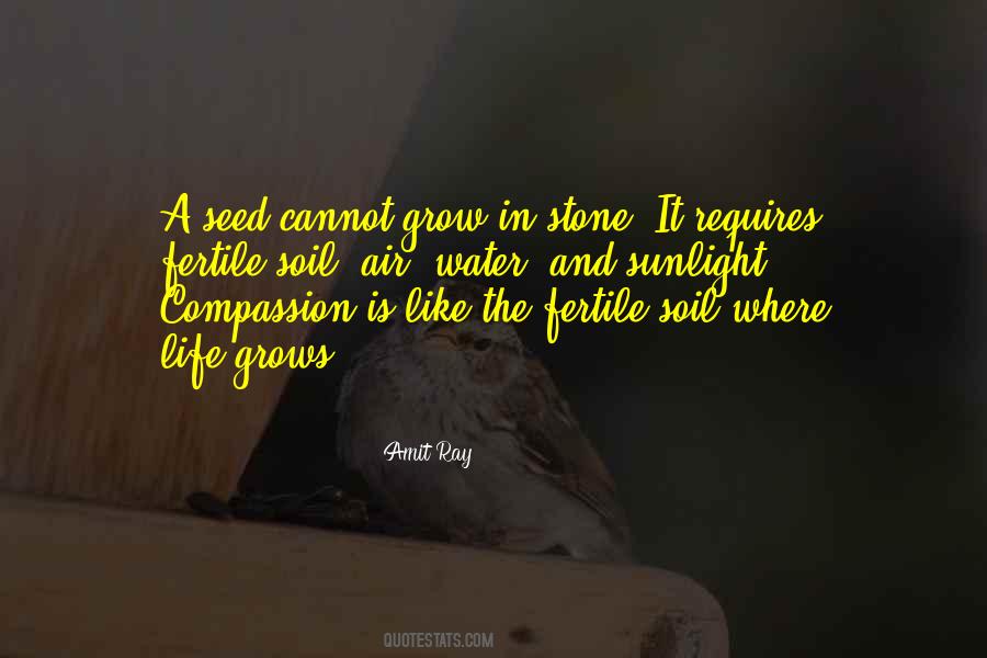 Amit Ray Quotes #4610