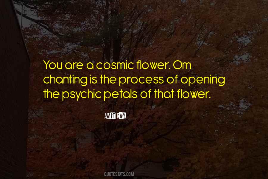 Amit Ray Quotes #4822