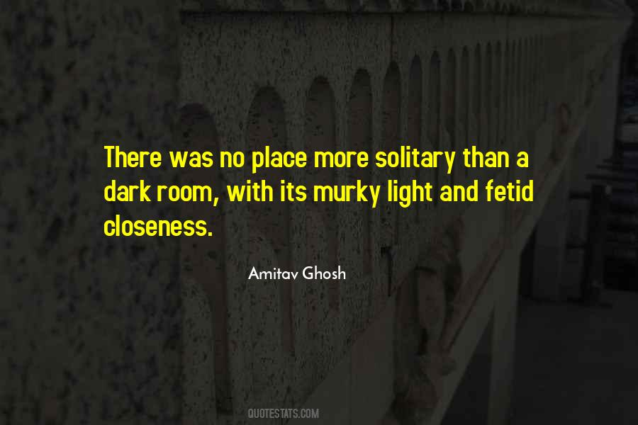 Amitav Ghosh Quotes #543083