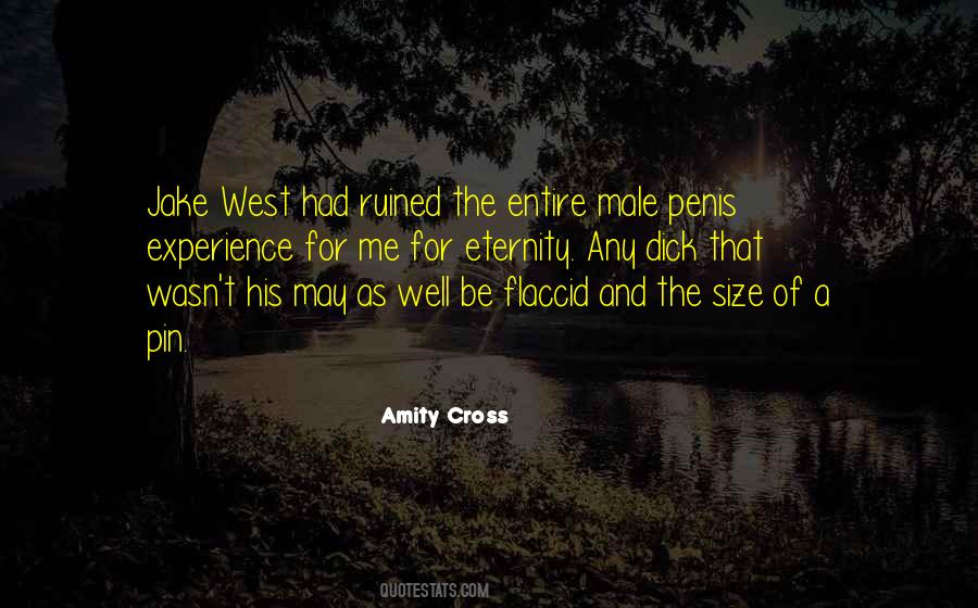 Amity Cross Quotes #1435801