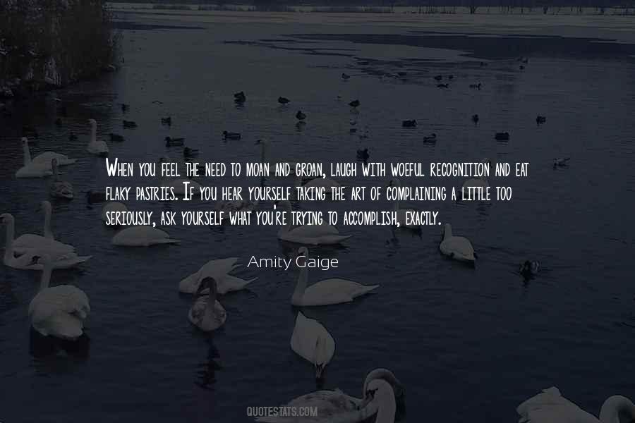 Amity Gaige Quotes #1564965