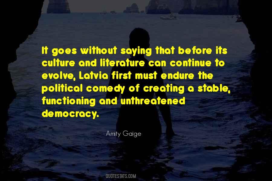 Amity Gaige Quotes #330970