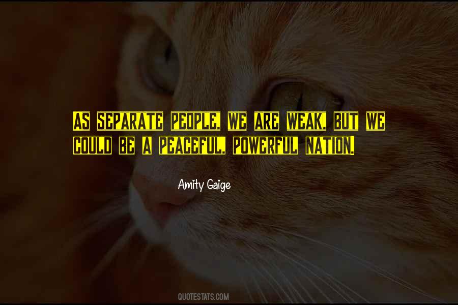 Amity Gaige Quotes #572804