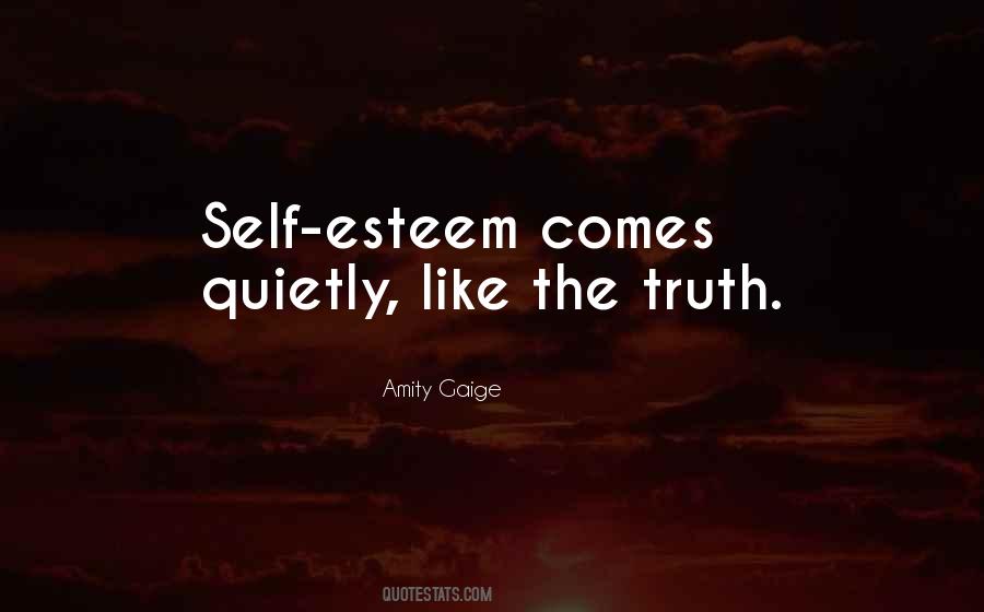 Amity Gaige Quotes #788567