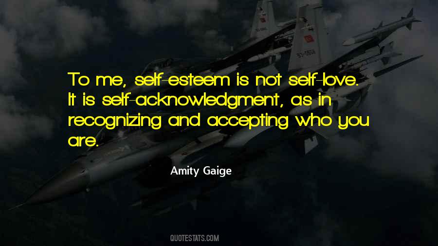 Amity Gaige Quotes #901210