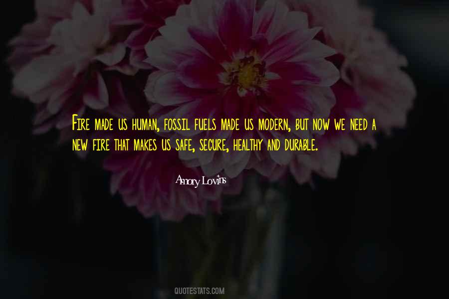 Amory Lovins Quotes #1470671