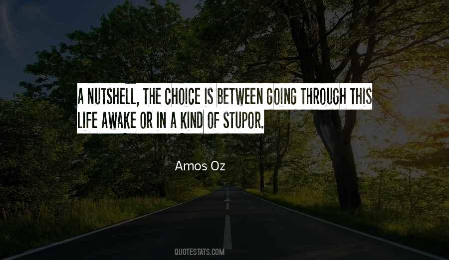 Amos Oz Quotes #810493