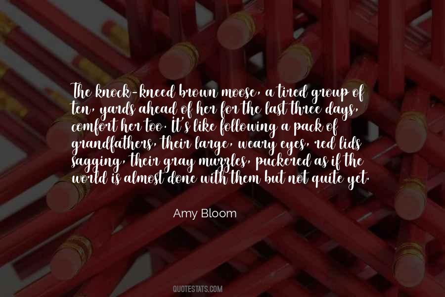 Amy Bloom Quotes #340615