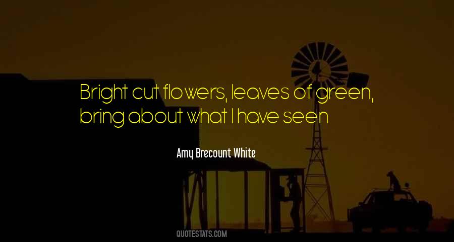 Amy Brecount White Quotes #162374