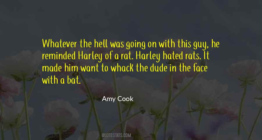 Amy Cook Quotes #1332033