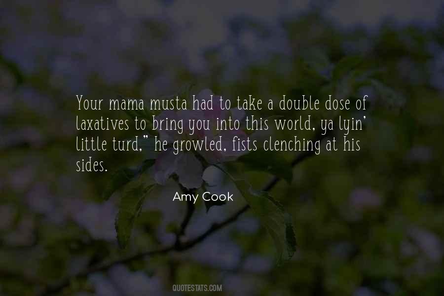 Amy Cook Quotes #261166