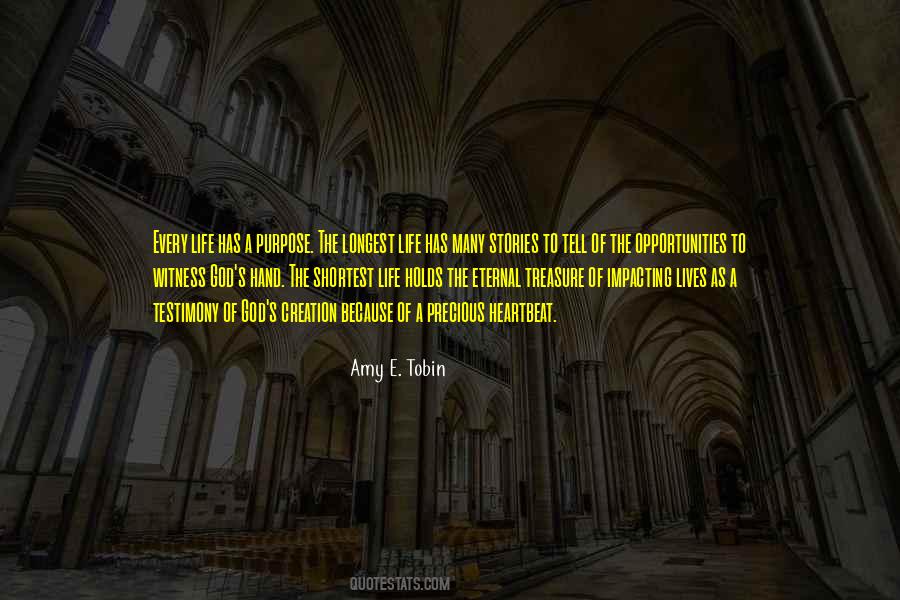 Amy E. Tobin Quotes #1806967