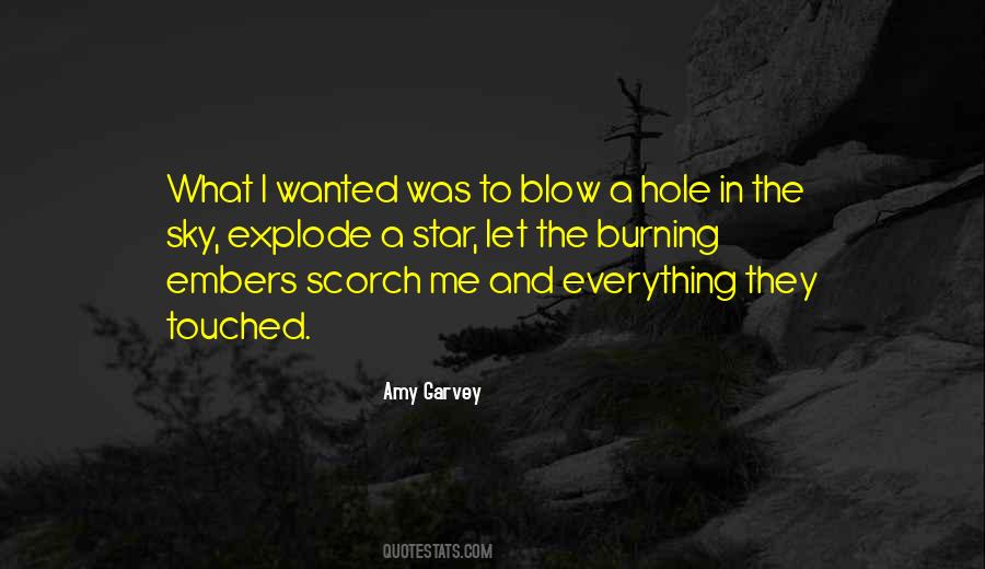 Amy Garvey Quotes #639908
