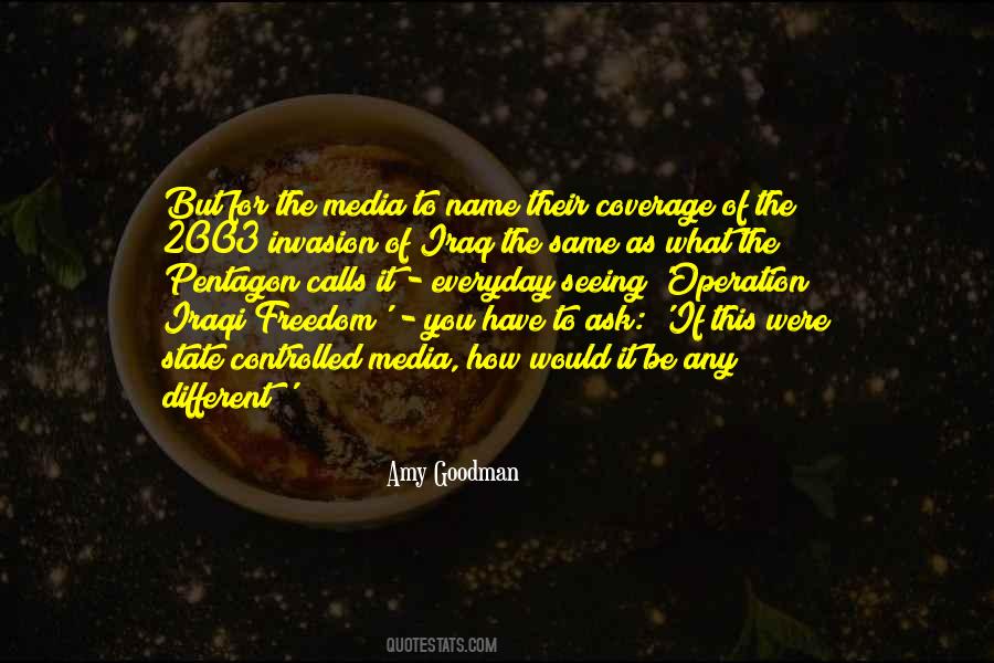 Amy Goodman Quotes #651480