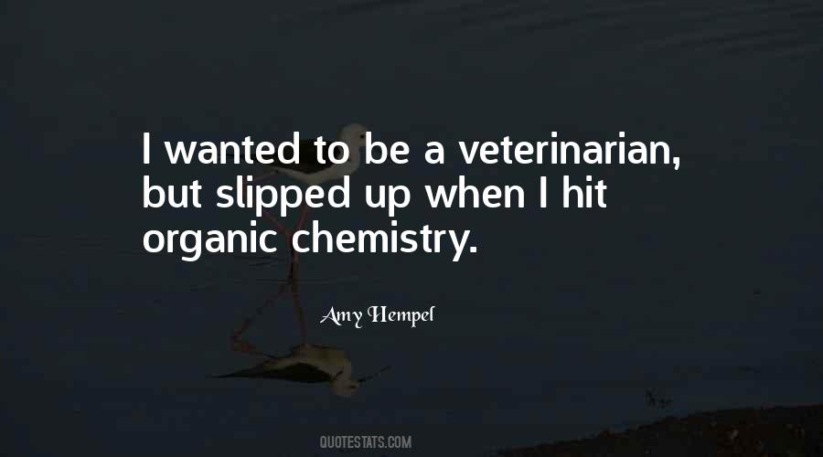 Amy Hempel Quotes #631677