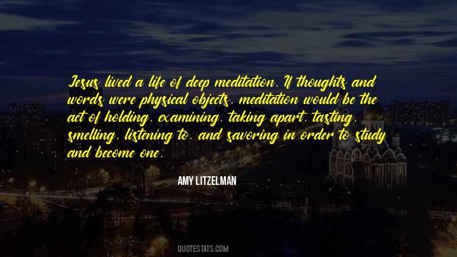 Amy Litzelman Quotes #617769