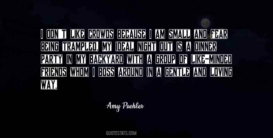 Amy Poehler Quotes #415001