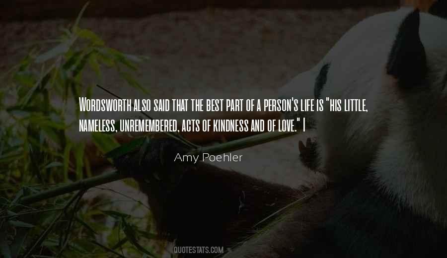 Amy Poehler Quotes #798773