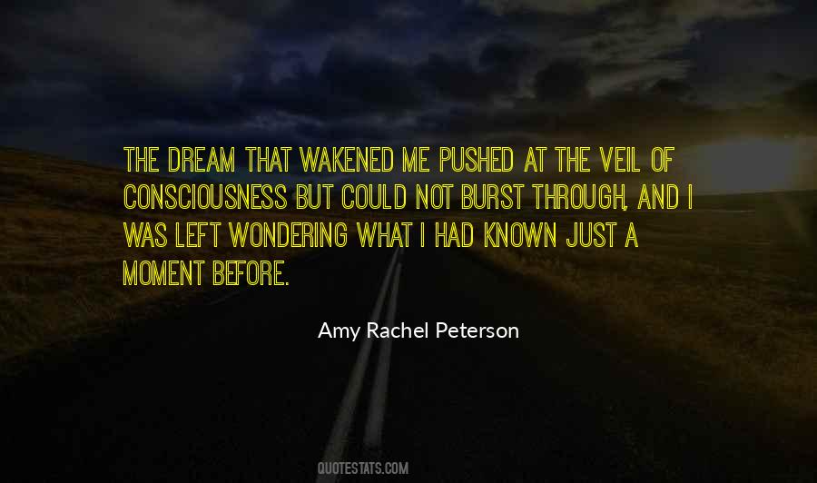 Amy Rachel Peterson Quotes #702996