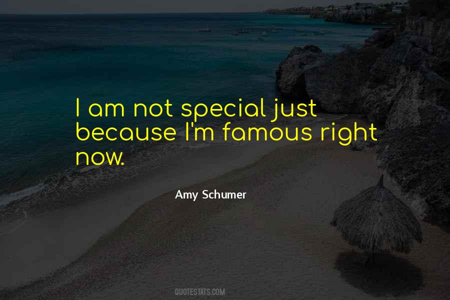Amy Schumer Quotes #367405