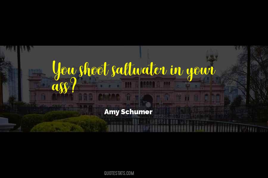 Amy Schumer Quotes #891245