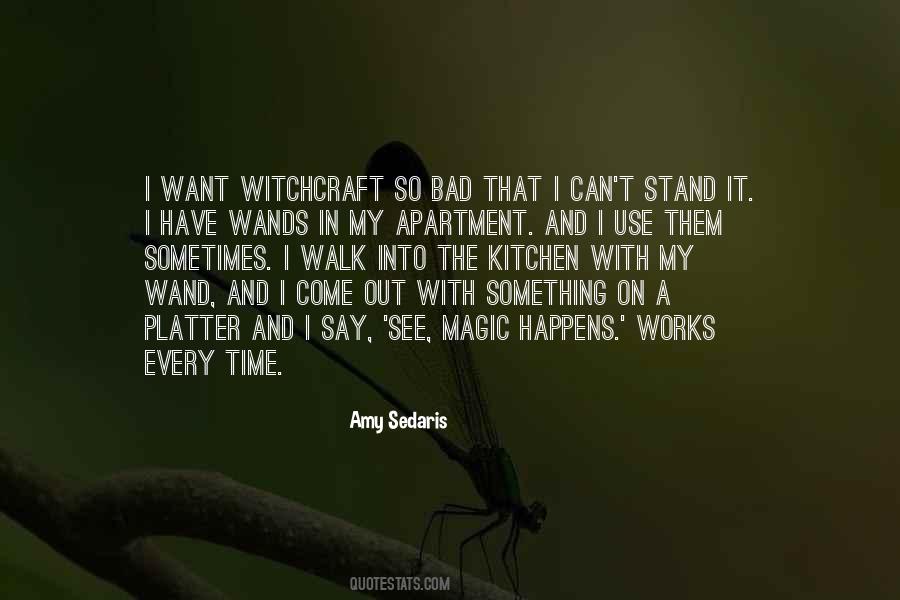 Amy Sedaris Quotes #918341