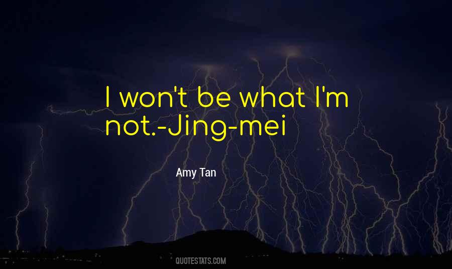 Amy Tan Quotes #1010974