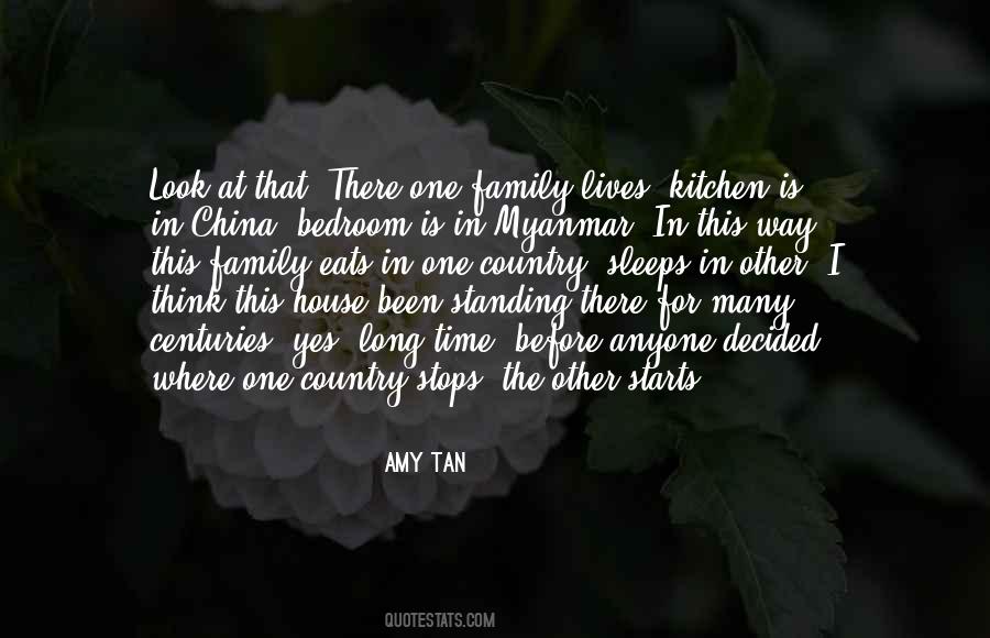 Amy Tan Quotes #188045