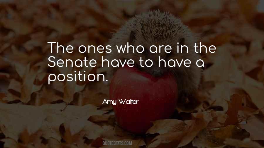 Amy Walter Quotes #51585