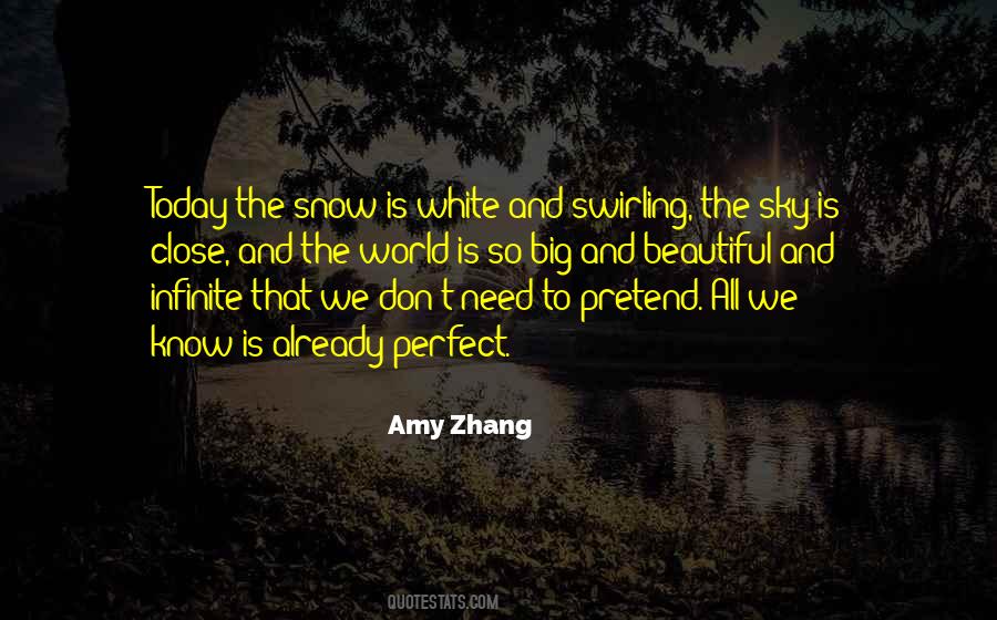 Amy Zhang Quotes #1632036