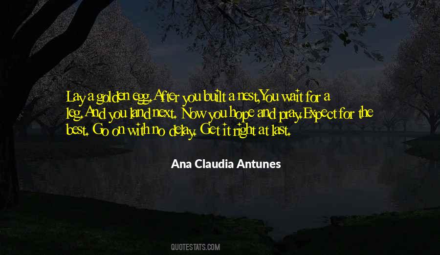 Ana Claudia Antunes Quotes #431654