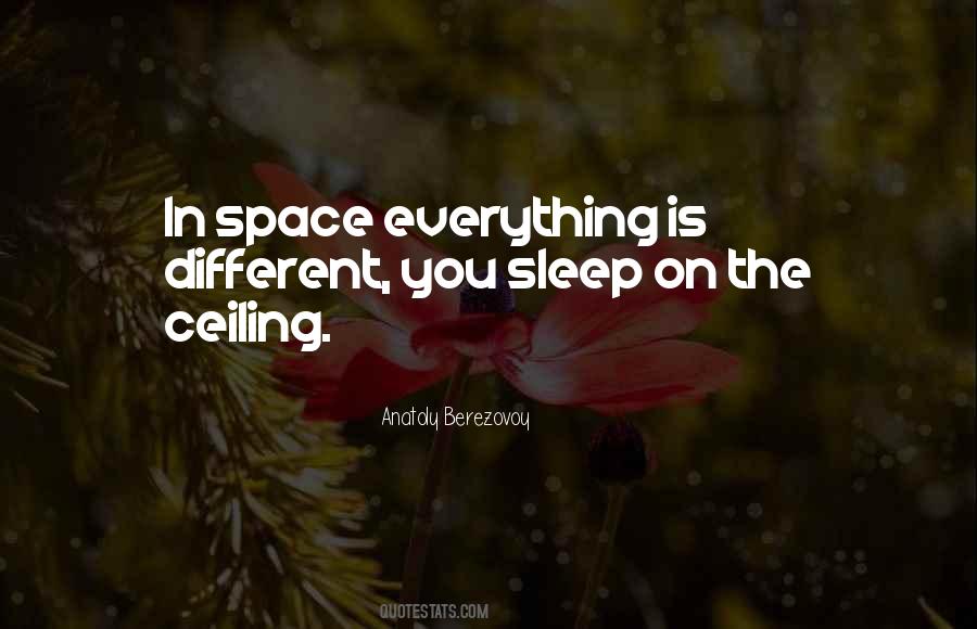 Anatoly Berezovoy Quotes #476392 Anatoly Berezovoy Quotes #476392