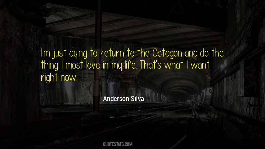 Anderson Silva Quotes #765429